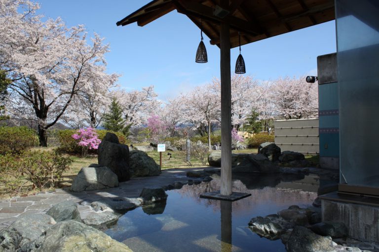 藤野　やまなみ温泉　森の湯露天桜