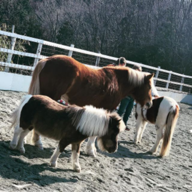 藤野　やまなみ温泉　