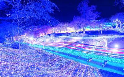 湖面に輝く冬の宝石と、極上の里山グランピング体験